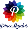 logo_pincelhadas